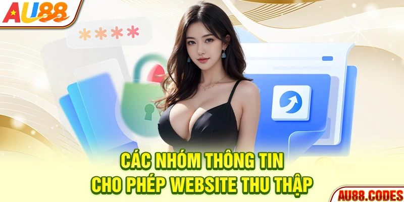 Các nhóm thông tin cho phép website thu thập